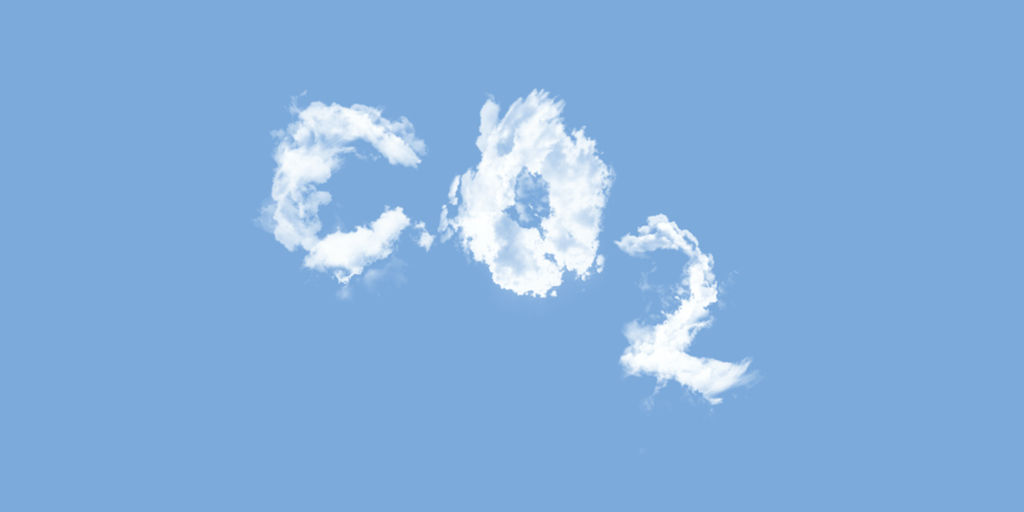 Carbon Action Programme